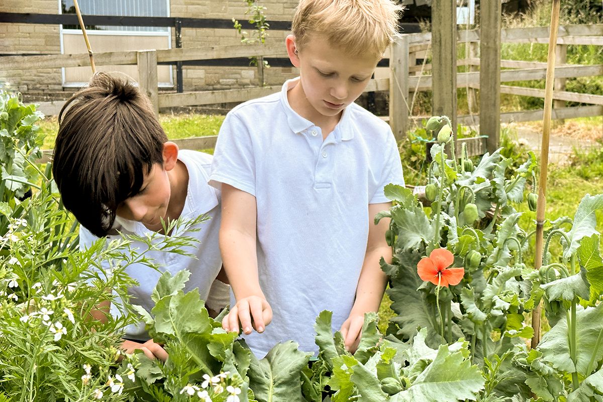 Gardening club